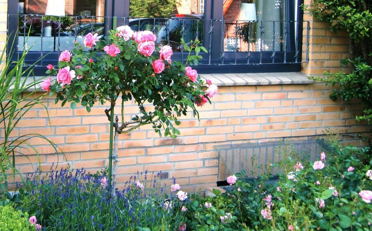 فندق Haus Luisenhof Mölln المظهر الخارجي الصورة